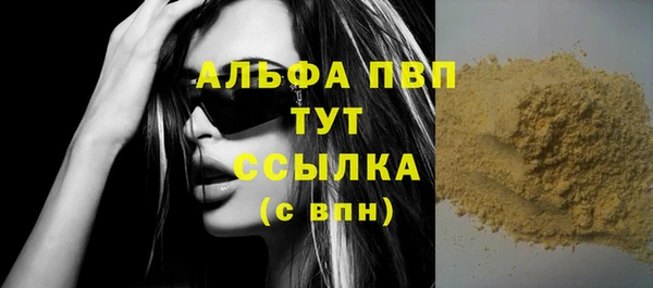 твердый Корсаков