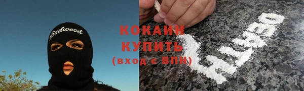 Альфа ПВП Лагань
