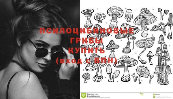твердый Корсаков