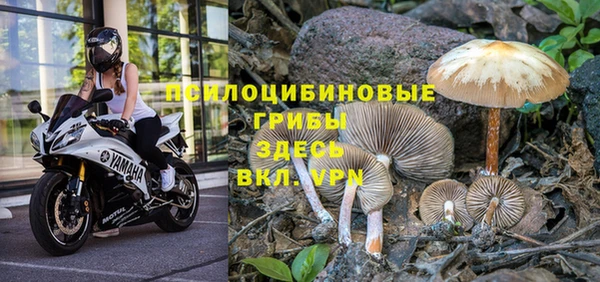 твердый Корсаков