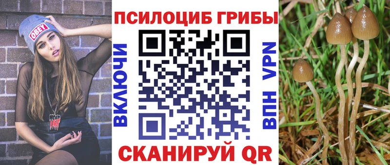 продажа наркотиков  Красноуральск  Псилоцибиновые грибы мухоморы 