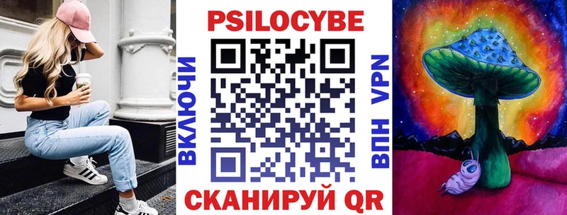 Псилоцибиновые грибы Psilocybe Красноуральск